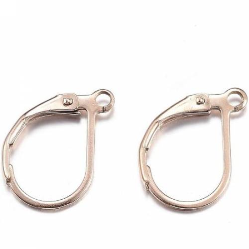 UNICRAFTALE 10pcs(5pairs) Stainless Steel Leverback Earring Finding 06x1mm Pin Bezel Earring Components with Loop Rose Gold Hoop Earring for Jewelry...