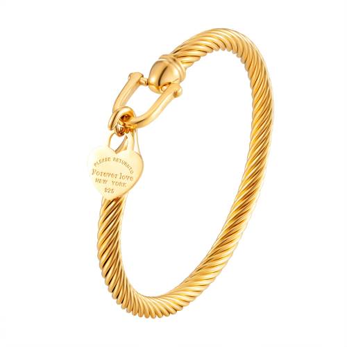 361L Titanium Stainless Steel Bangles Bracelets Charm Gold Color Cable Wire Cuff Heart Pendant Bracelet For Women Girls Jewelry