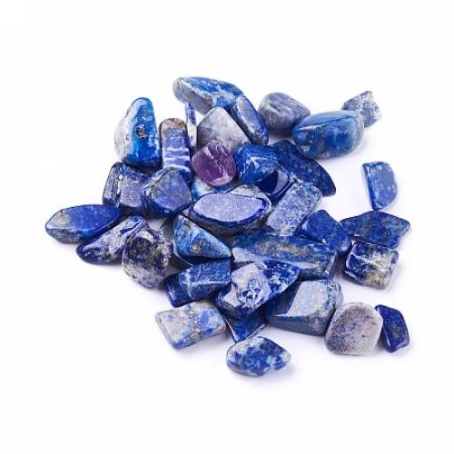 Natural Lapis Lazuli Beads - Undrilled/No Hole - Chips - 6~24x5~12x3~9mm - about 100g/bag