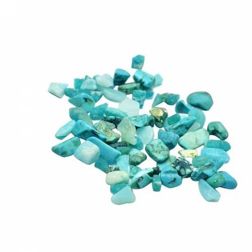 NBEADS 500g Synthetic Turquoise Chip Beads - No Hole/Undrilled - 2~8x2~4mm; About 8500pcs/500g