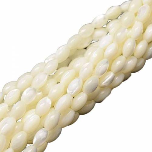 ARRICRAFT 10 Stands 600pcs Ivory Oval Sea Shell Beads Spiral Seashells Natural Gemstone Beads for Necklace - Bracelet - Jewelry Making - Home and...