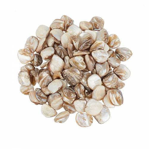 Natural Freshwater Shell Beads - Chip - Light Khaki - 18~22x15~21x75~10mm - Hole: 08mm - 250g/box