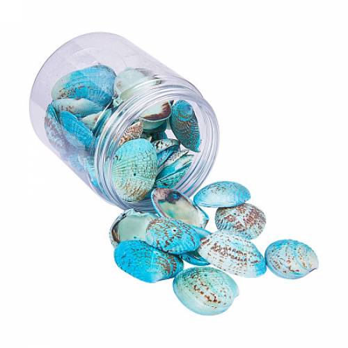 PandaHall Elite 1Box About 35-40Pcs Scallop Seashells Clam Shell Dyed Beads with Holes for Craft Making Home Deco 32-37mm Length Aqua