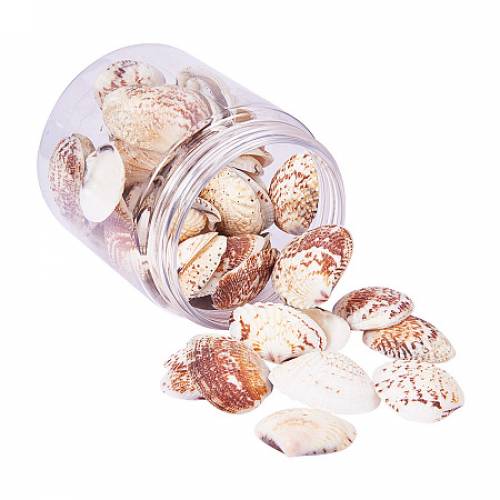 PandaHall Elite 1Box About 35-40Pcs Scallop Seashells Clam Shell Dyed Beads with Holes for Craft Making Home Deco 32-37mm Length Lemon Chiffon